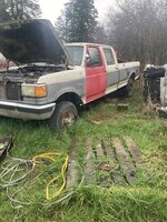 IMG_6560.jpeg