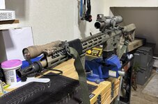 IMG_7736.jpeg