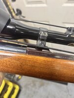 IMG_5441.jpeg