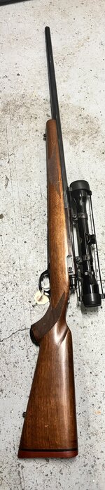 IMG_5439.jpeg
