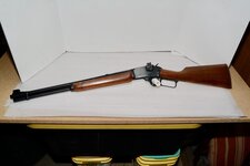 Qiy1PO8l.jpg