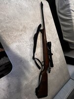 IMG_8454.jpeg