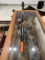 IMG_1608.jpeg