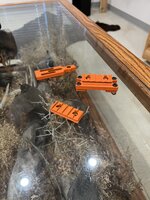 IMG_1610.jpeg