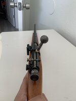 IMG_5431.jpeg