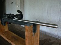 Ruger 1022 target 2.JPG