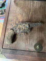 IMG_4510.jpeg