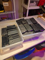 image000001.jpeg