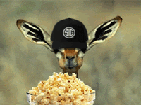 img_0540-gif.gif