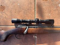 IMG_3921.jpeg