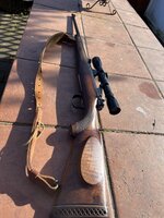 IMG_3924.jpeg