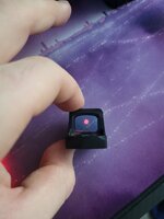 1000006453.jpg