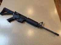 IMG_0423.jpeg