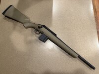 IMG_0428.jpeg