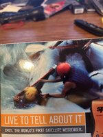 IMG_4987.jpeg