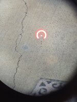 20250413_184242.jpg