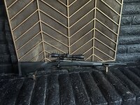 IMG_4036.jpeg