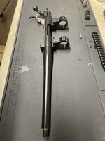 IMG_7993.jpeg