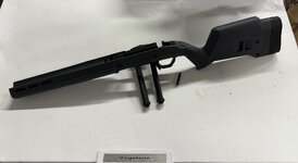 IMG_1490.jpeg