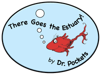 ui_estuary.png
