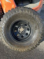 IMG_6290.jpeg