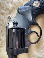 IMG_4379.jpeg