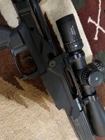 IMG_3073.jpeg
