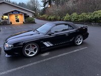 IMG_2553.jpeg