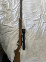 IMG_4221.jpeg
