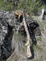 IMG_2417.jpeg