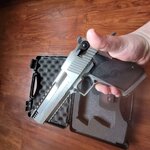 Desert Eagle 1.jpg