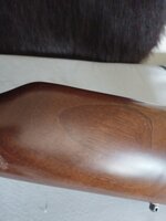 20250427_111807.jpg