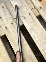IMG_5920.jpeg
