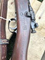 IMG_5947.jpeg