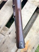 IMG_5945.jpeg