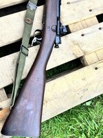 IMG_5967.jpeg