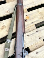 IMG_5966.jpeg