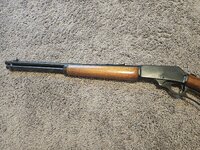 1000019504.jpg