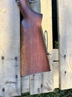 IMG_6014 2.jpeg