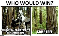IMG_3603.jpeg