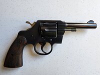 COLT OFF POL 2.jpg