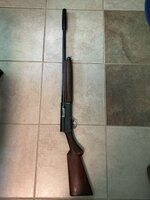 IMG_2520.jpeg