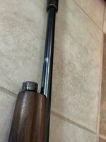 IMG_2525.jpeg