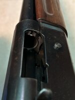 IMG_2526.jpeg