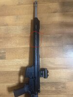 IMG_6228.jpeg