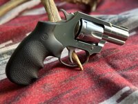 IMG_7031.jpeg