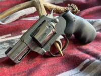 IMG_7029.jpeg