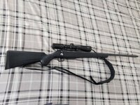 tikka.jpg