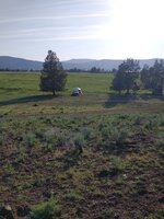 IMG_20250501_181005507.jpg