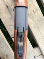 IMG_2545.jpeg